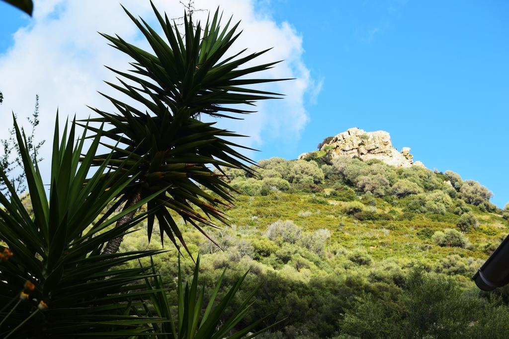 Villa Le Relais De Tiuccia Casaglione Esterno foto